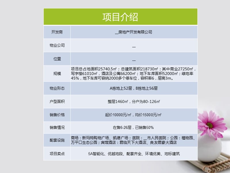 房产项目推广